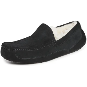 Chaussons Homme UGG Ascot 5775 en Cuir