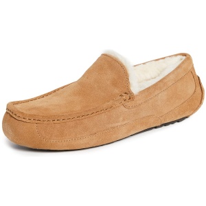 Chaussons Homme UGG Ascot 5775 en Cuir