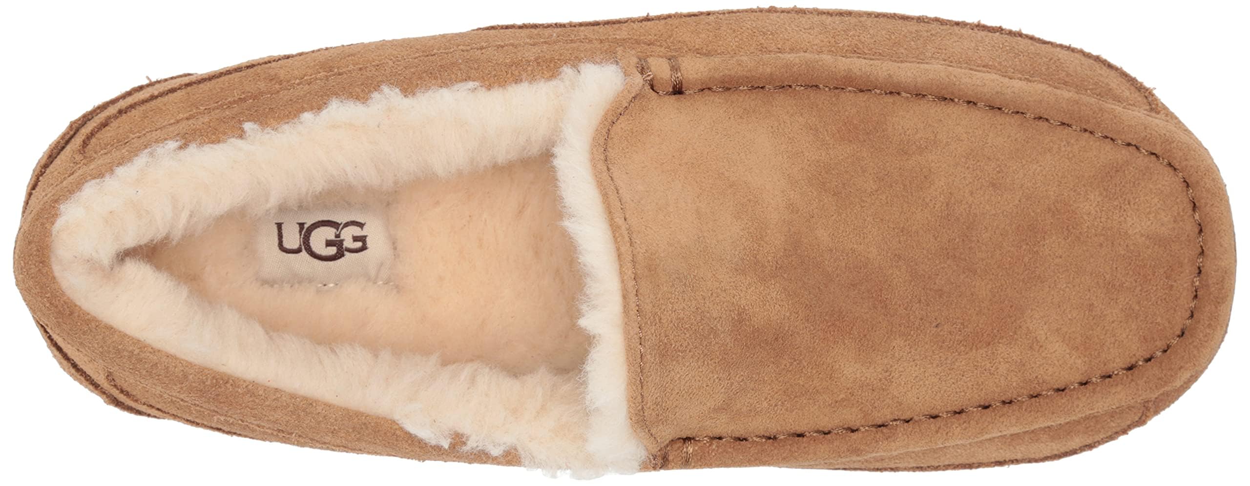 Chaussons Homme UGG Ascot 5775 en Cuir – Image 2